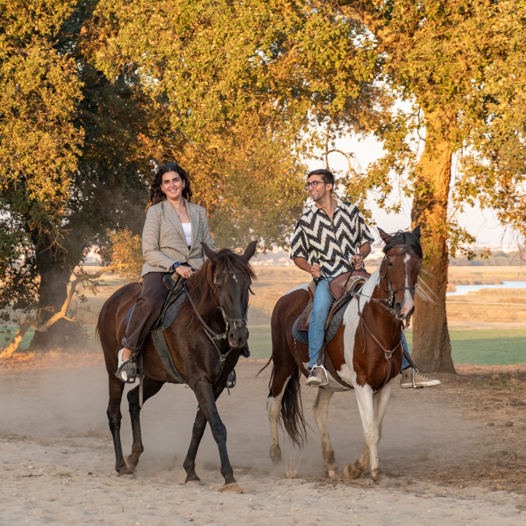 Caixa-Oferta • Passeio a cavalo P/ 2PESSOAS & Cesta de Piquenique
