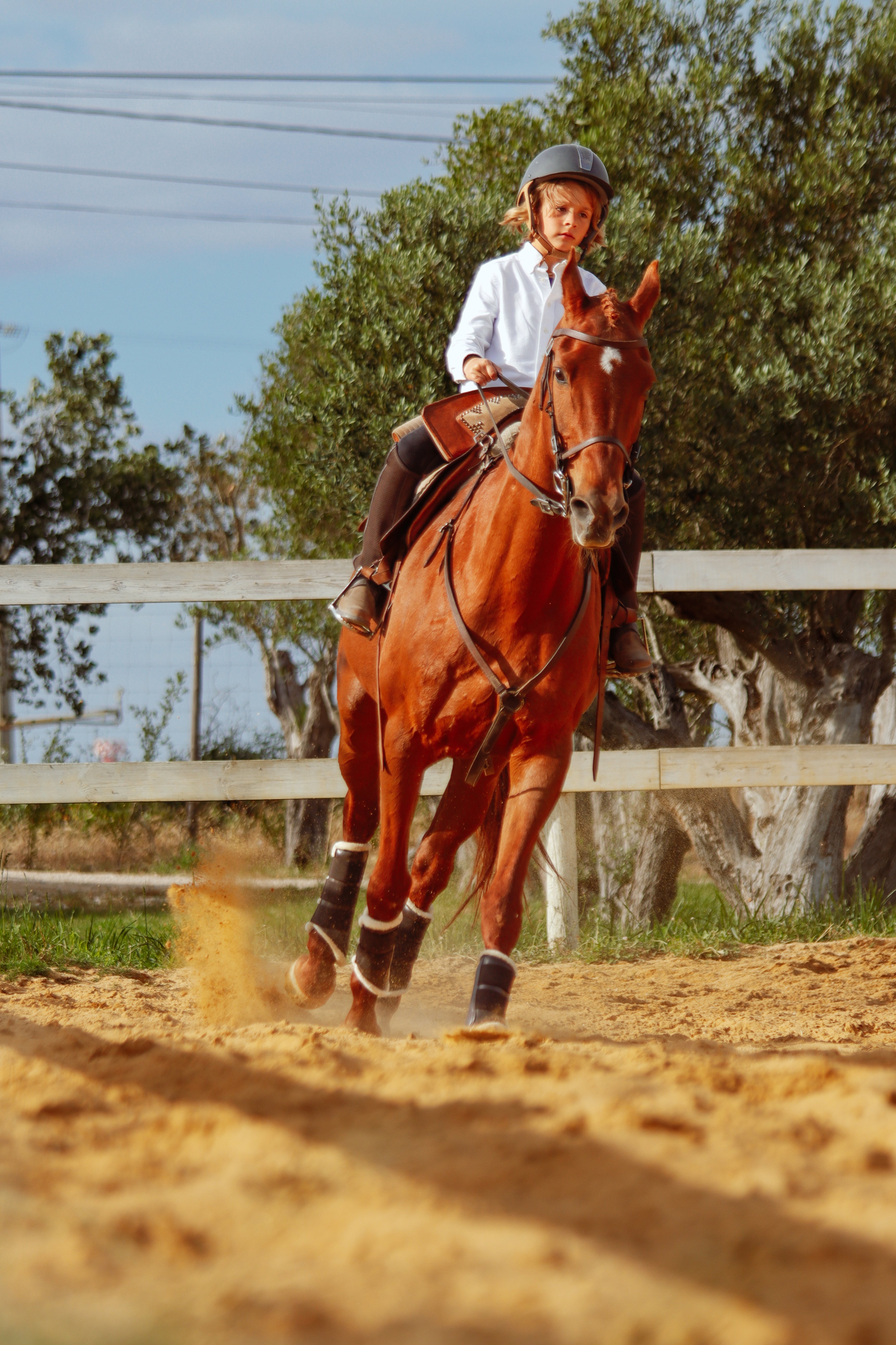 Caixa - Oferta • Jogo Cavalo em Linha + Batismo Equestre – Andar a