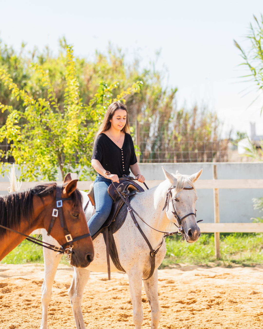 Batismo Equestre Picadeiro Pátio do Tejo