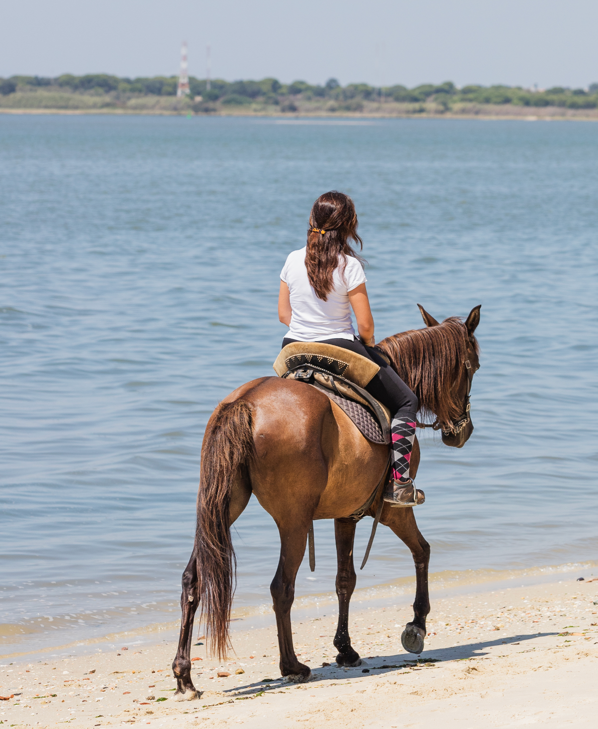Bono digital • Paseos a caballo privados