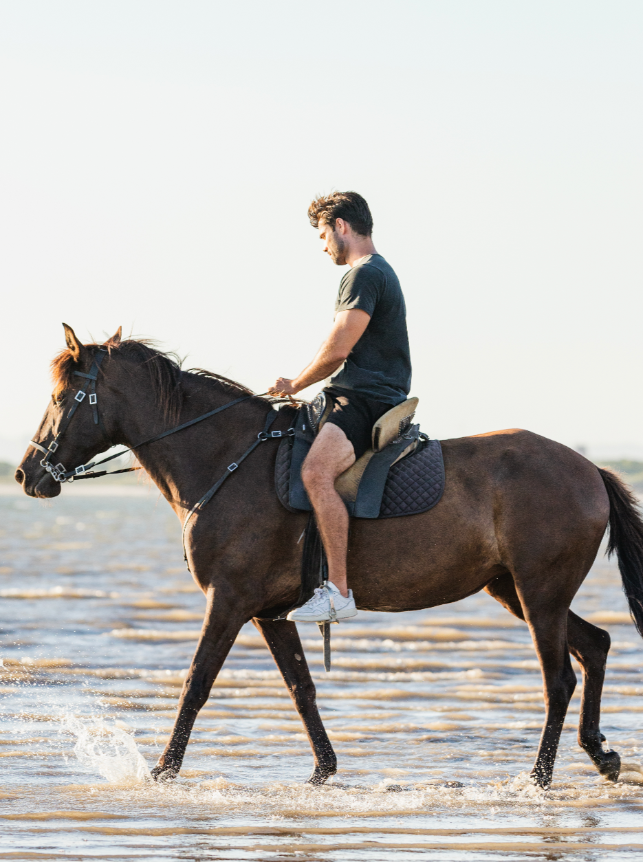 Passeio a Cavalo na Praia • 1h 30min • A partir dos 12 anos