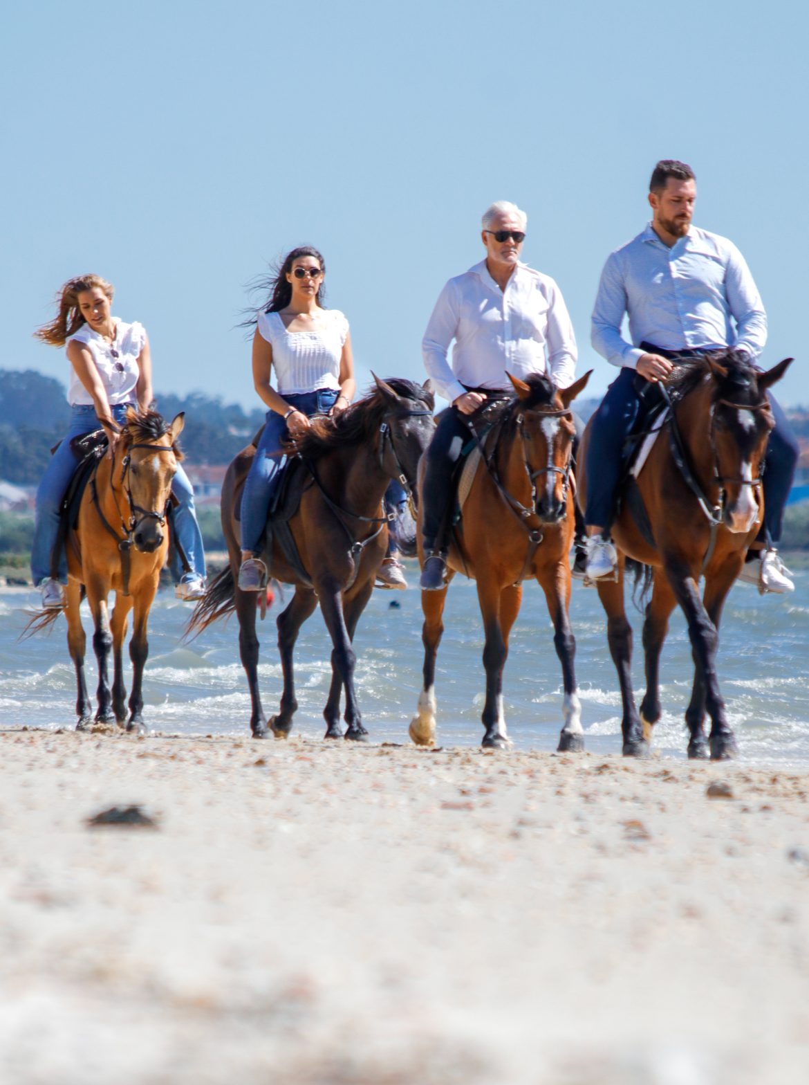 Bono digital • Paseos a caballo privados