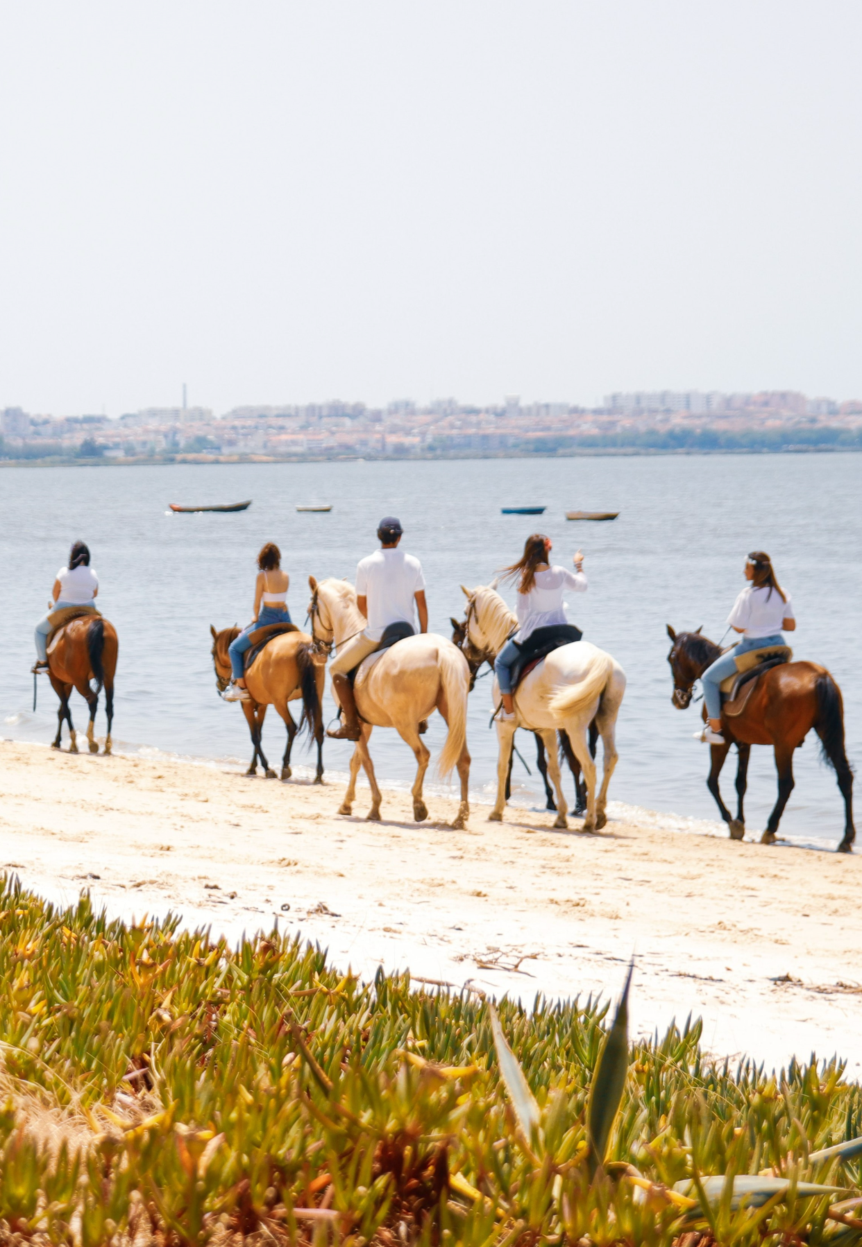 Passeio a Cavalo na Praia • 1h 30min • A partir dos 12 anos