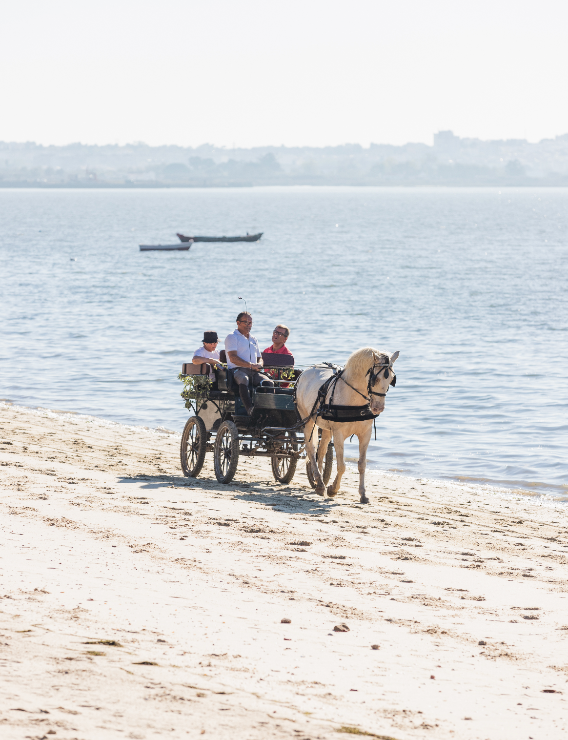 Carriage Ride • 1 Hour • Minimum of 2 people