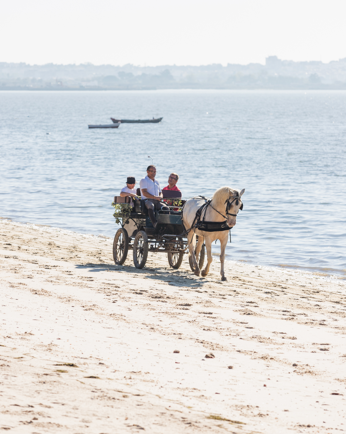 Digital Voucher • Ride in a buggy for 2 people