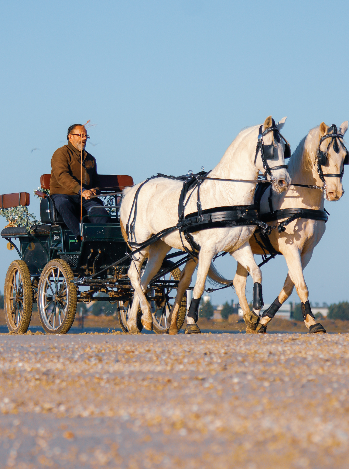 Digital Voucher • Ride in a buggy for 2 people