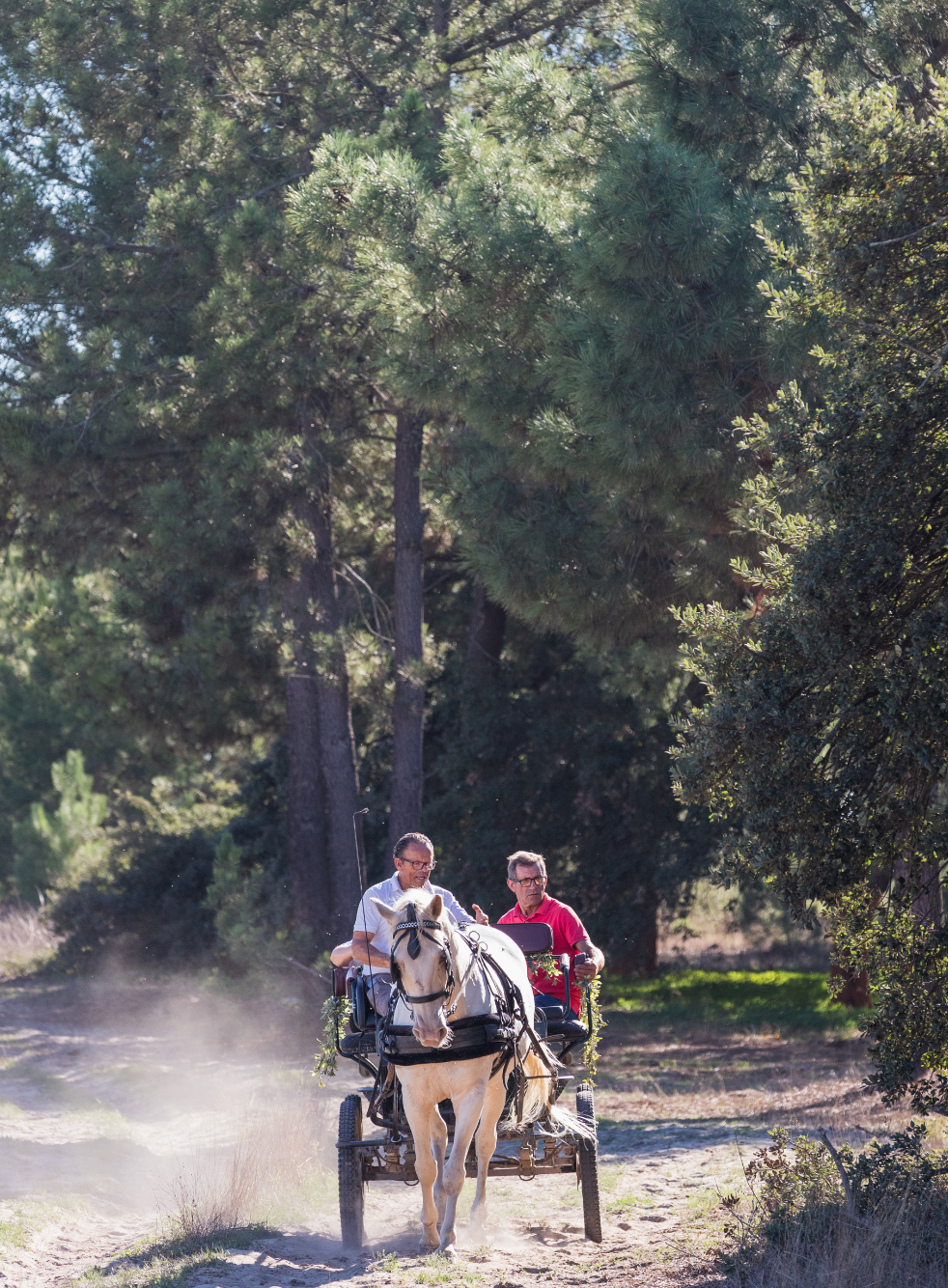 Digital Voucher • Ride in a buggy for 2 people