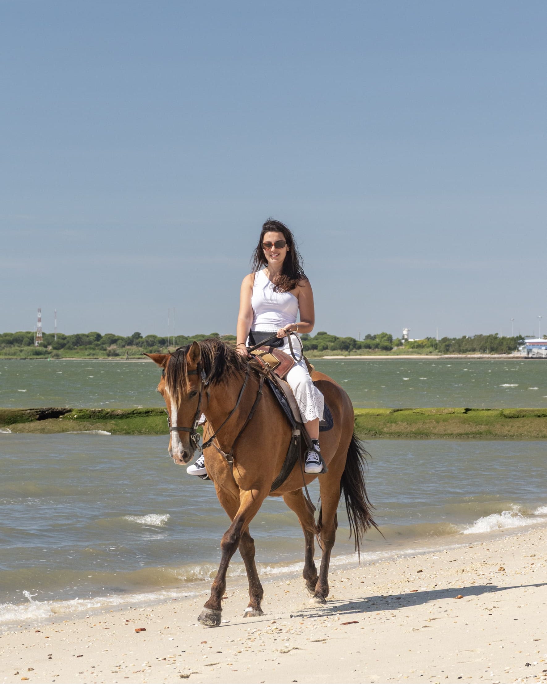 Voucher digital • Passeio a cavalo privado