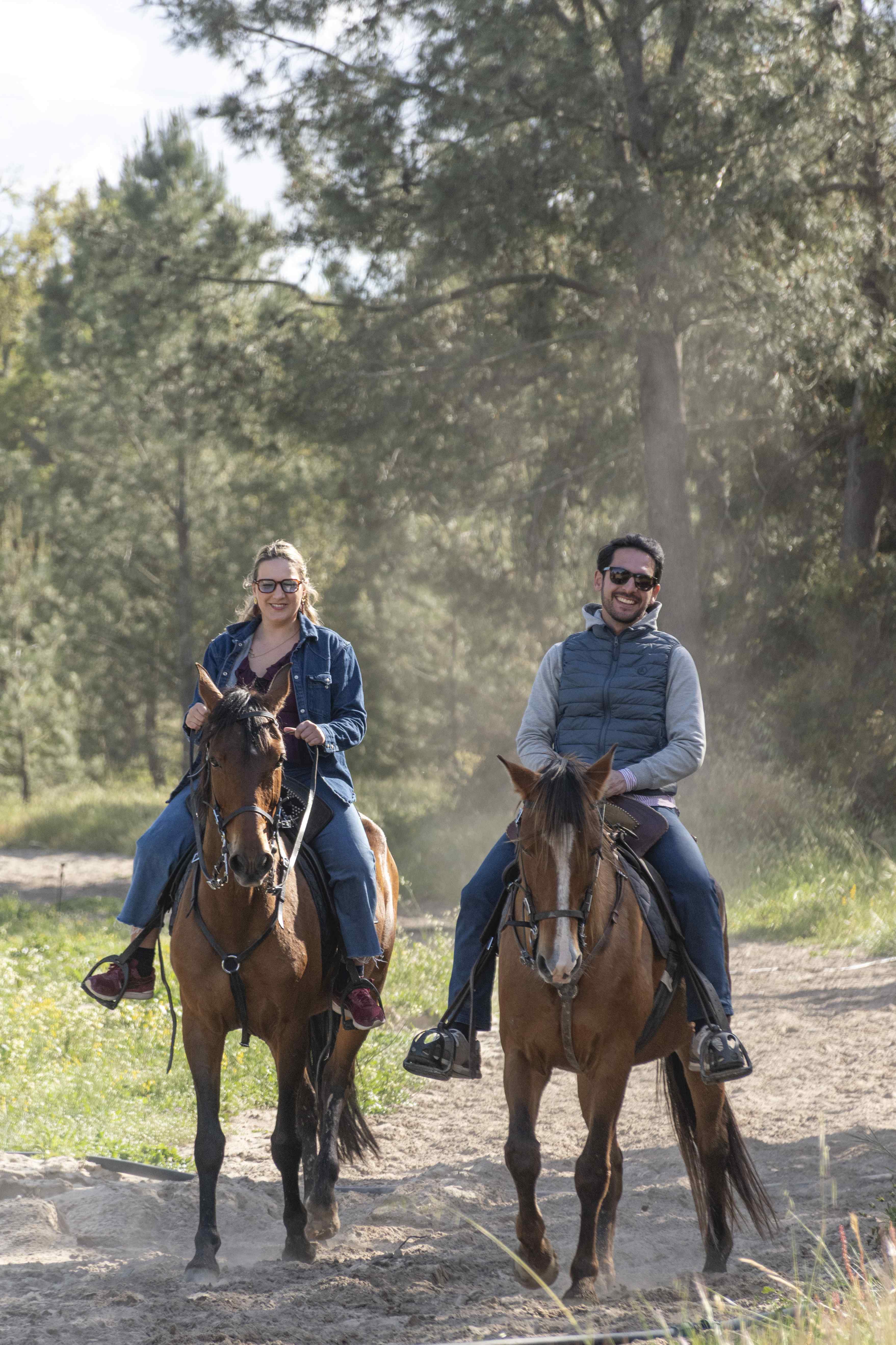 Bono digital • Equitación