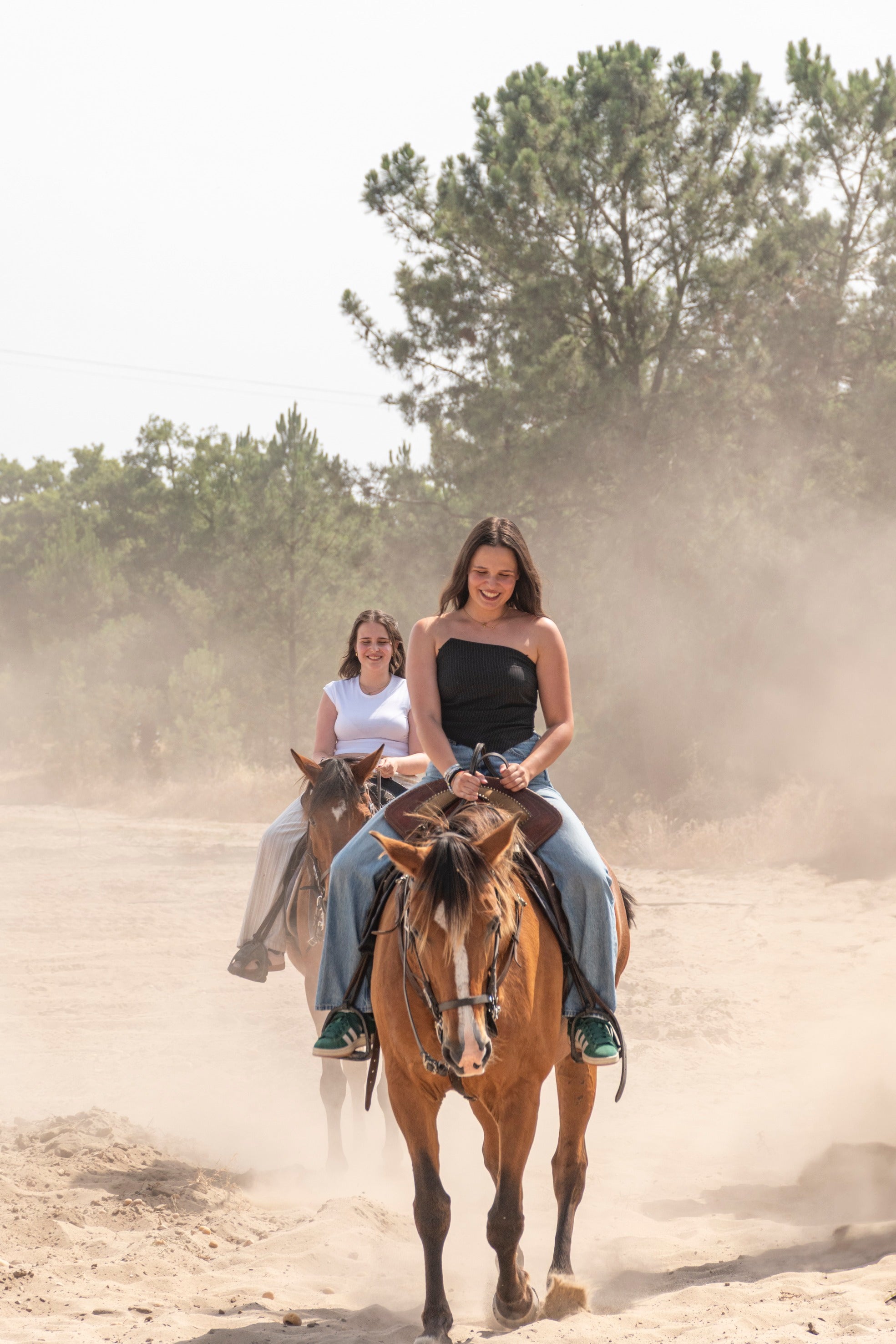 Cashier - Offer • FOR 2 PEOPLE • Tapas and Snacks & Brief Horseback Experience