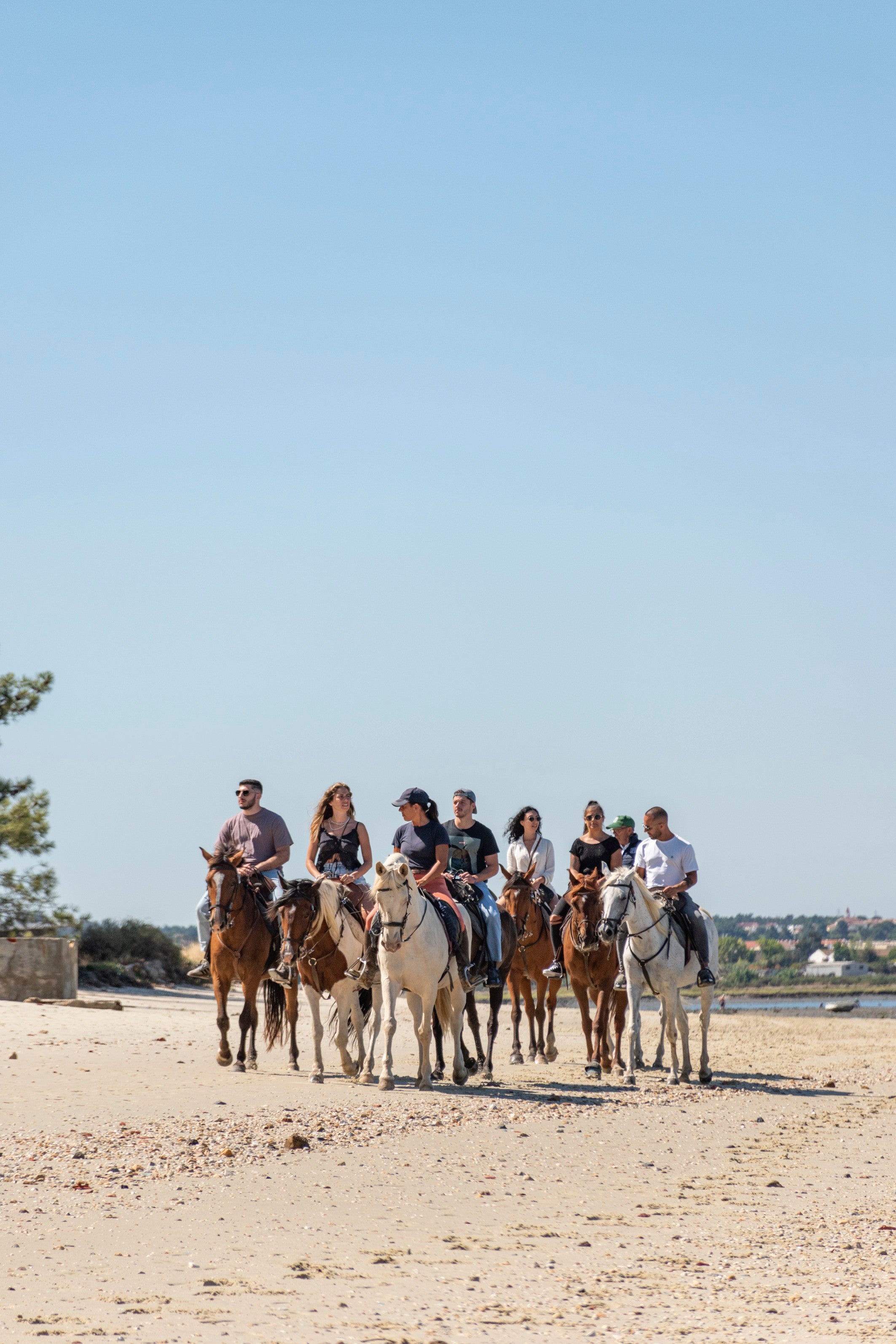 Digital voucher • Horse riding