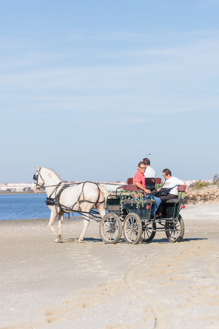 Digital voucher • Horse-drawn carriage ride for 2 people
