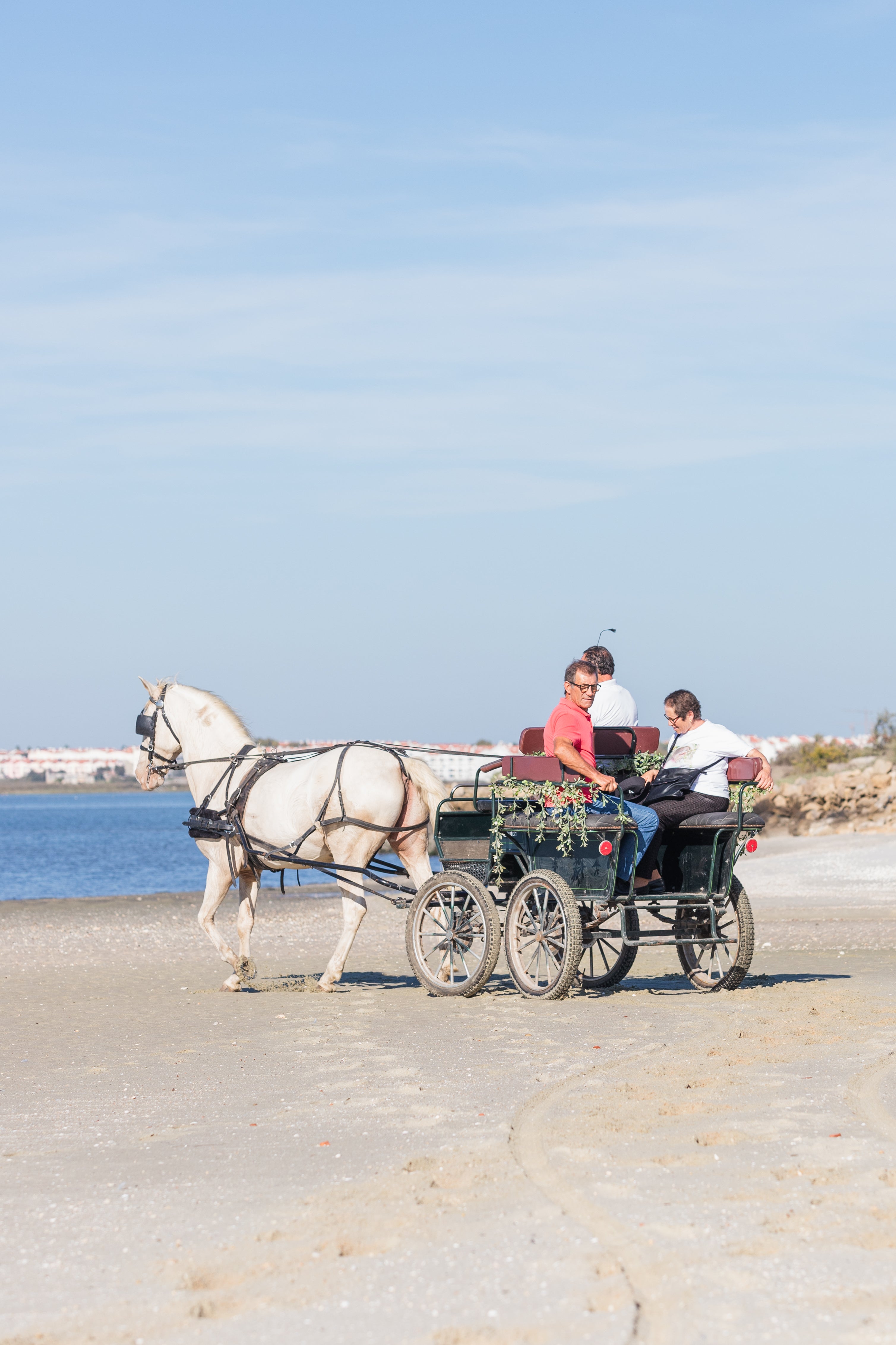 Carriage Ride • 1 Hour • Minimum of 2 people