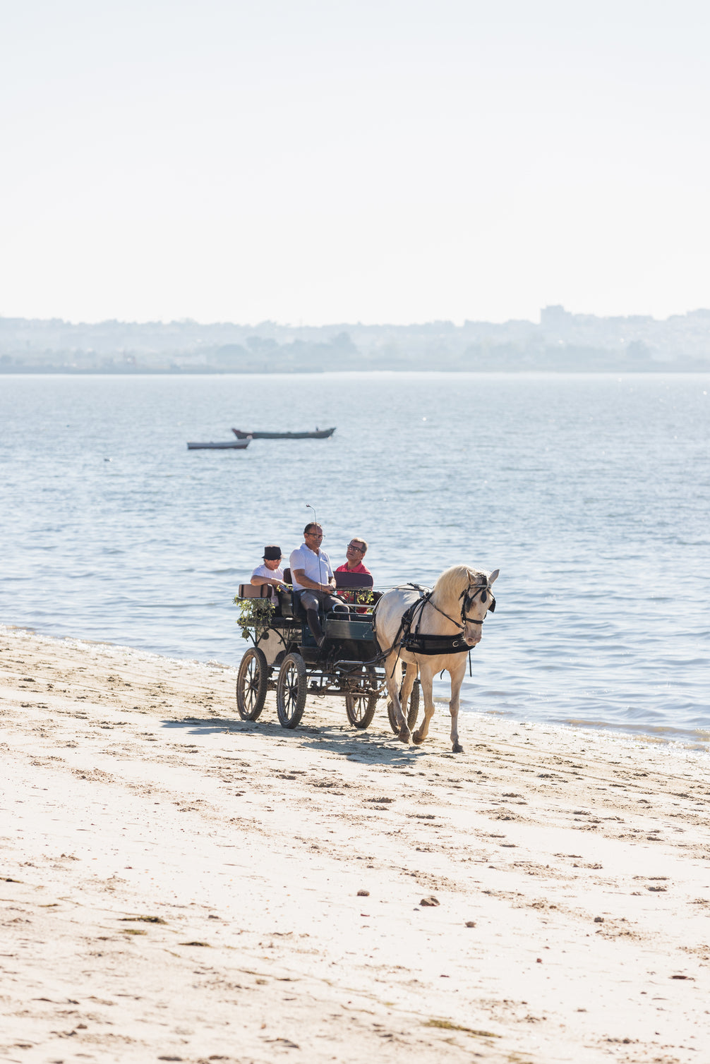 Digital voucher • Horse-drawn carriage ride for 2 people