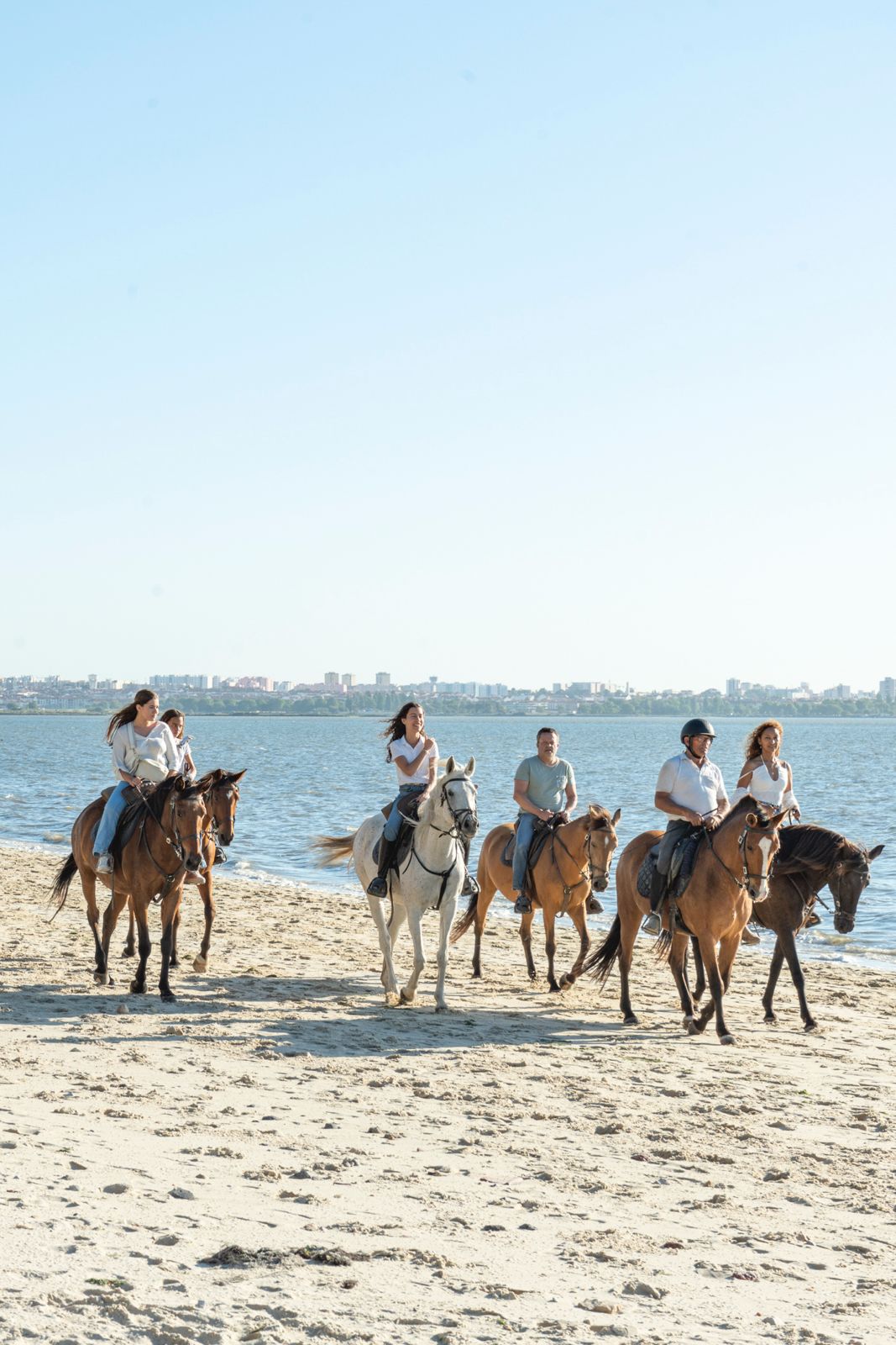 Team Building com cavalos: uma experiência diferente para equipas
