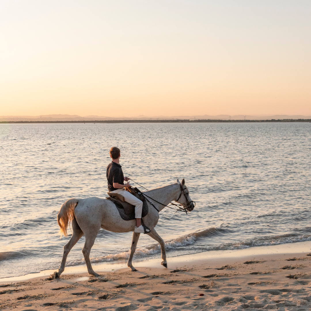 Passeio a Cavalo na Praia Pôr-Do-Sol • 1h 30min • A partir dos 12 anos