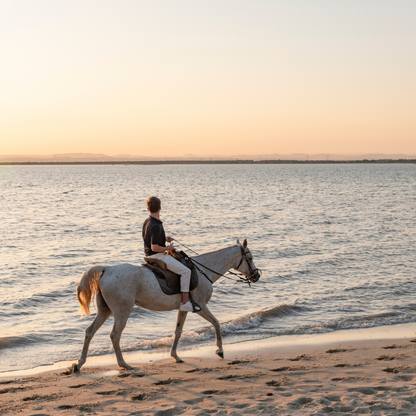 Passeio a Cavalo na Praia Pôr-Do-Sol • 1h 30min • A partir dos 12 anos