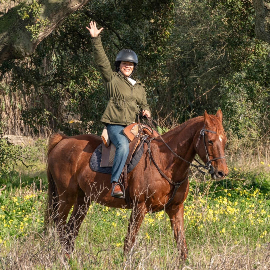 Caixa-Oferta • Passeio a cavalo