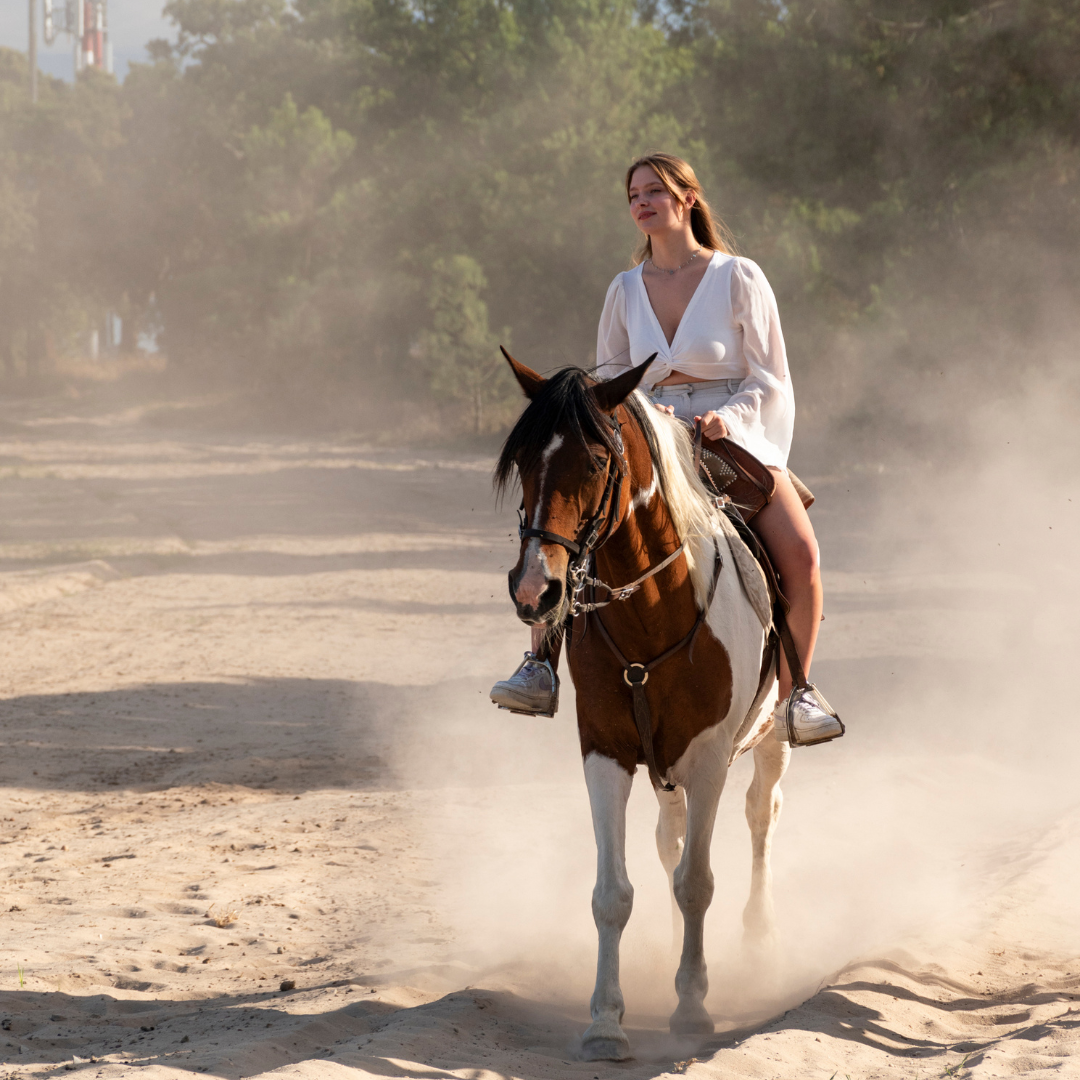 Caixa-Oferta •  Passeio a cavalo privado