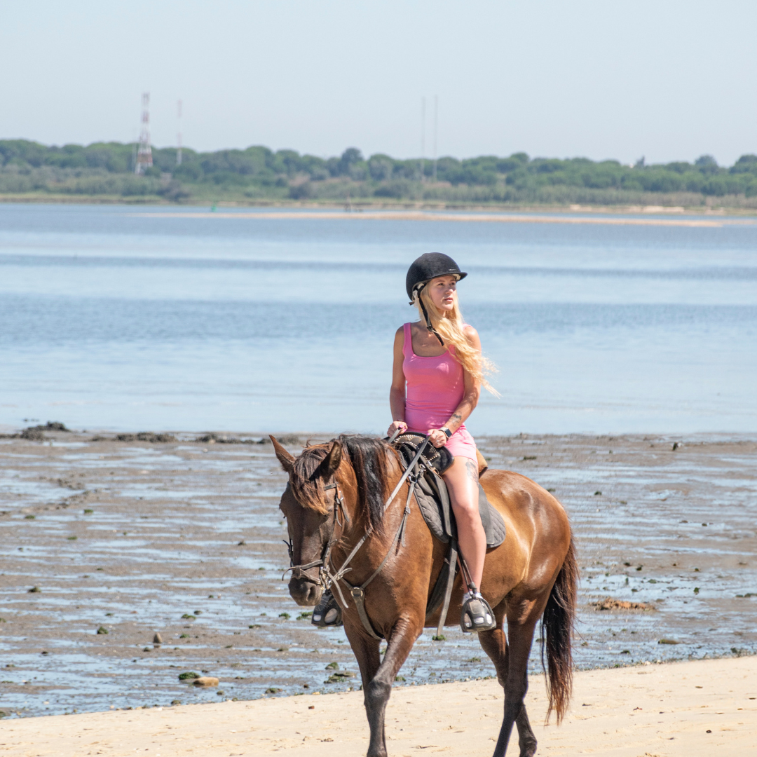 Passeio a Cavalo na Praia Privado • 1h 30min • A partir dos 12 anos