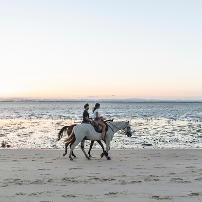 Passeio a Cavalo na Praia Pôr-Do-Sol • 1h 30min • A partir dos 12 anos