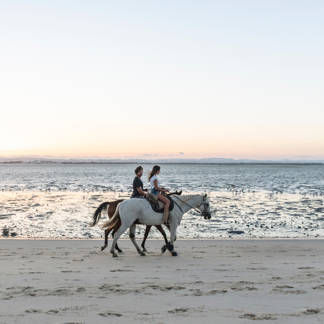 Caixa-Oferta • Passeio a Cavalo na Praia Pôr-Do-Sol