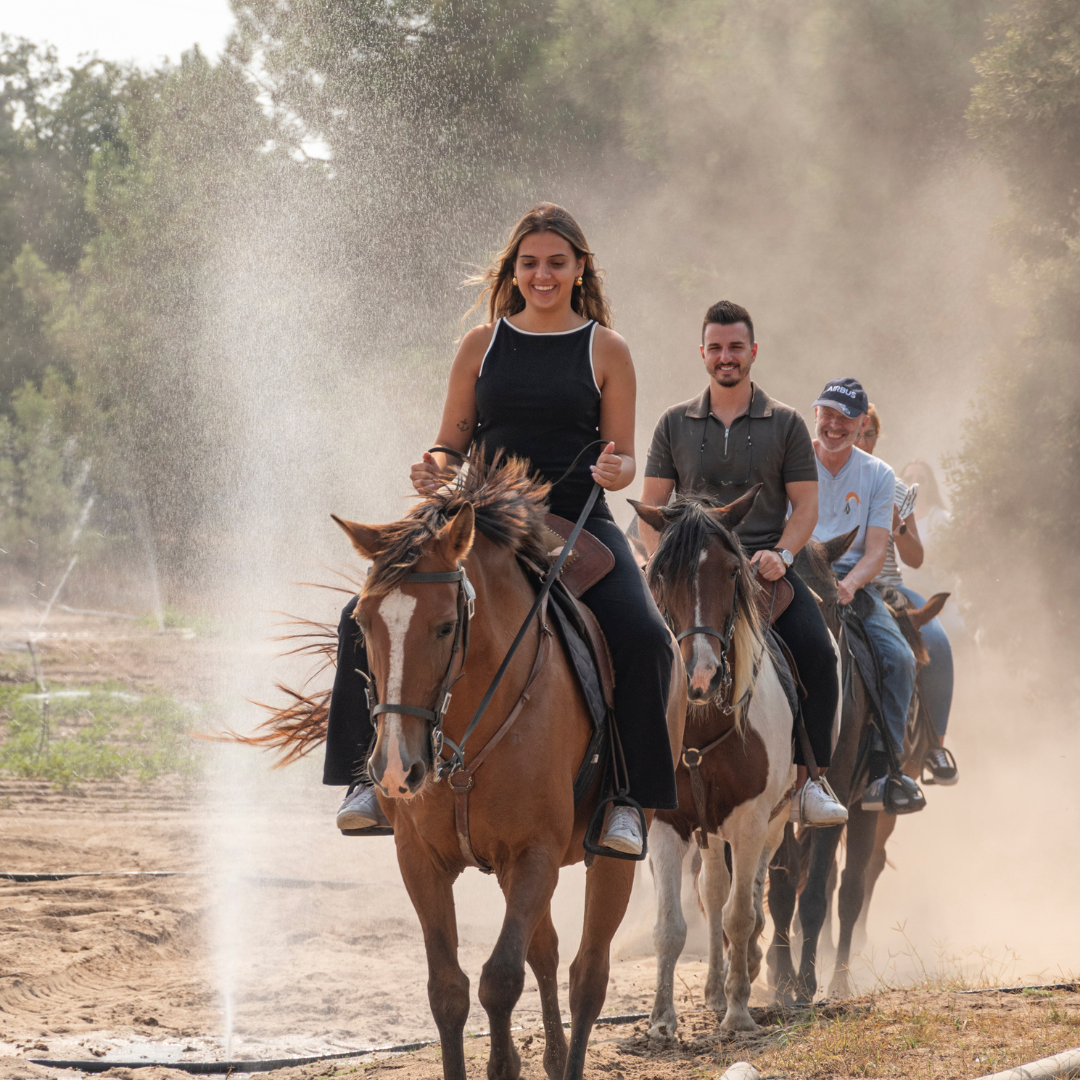 Caixa-Oferta • Passeio a cavalo