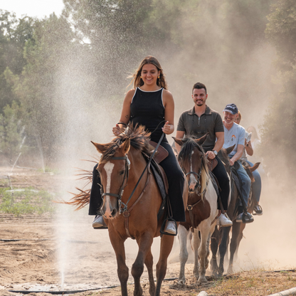 Caixa-Oferta • Passeio a cavalo