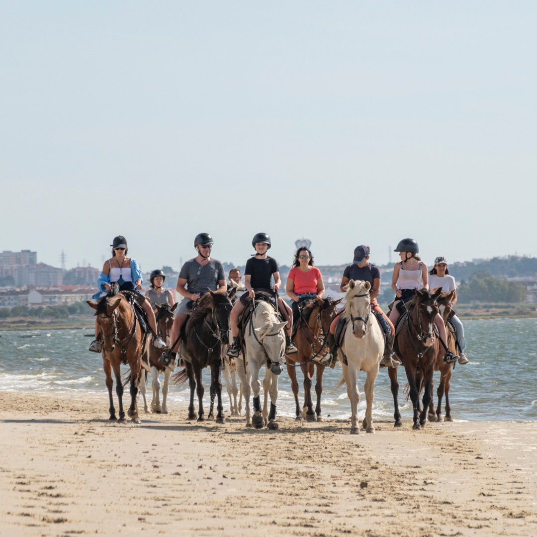 Horseback Riding on the Beach • 1h 30min • From 12 years old