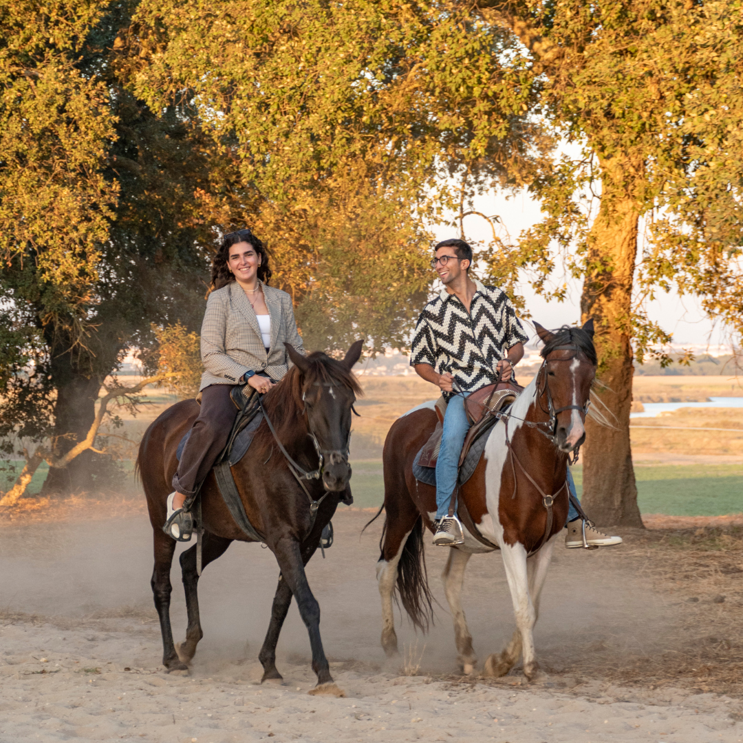 Caixa-Oferta • Passeio a cavalo P/ 2PESSOAS &amp; Cesta de Piquenique