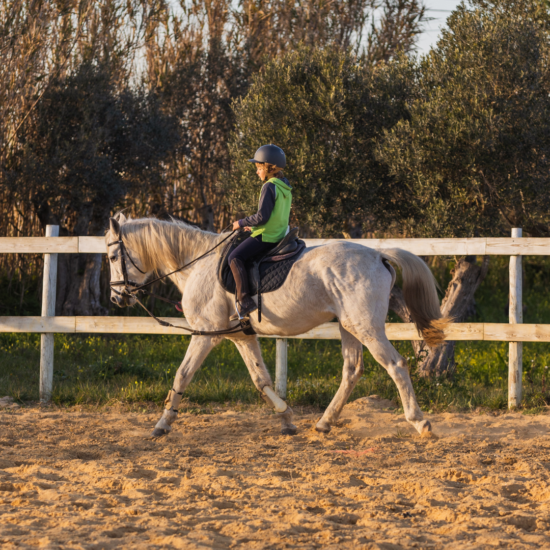 Batismo Equestre • 30 min • A partir dos 3 anos