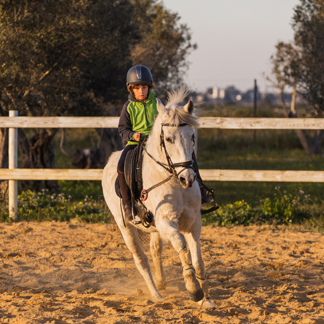 Batismo Equestre • 30 min • A partir dos 3 anos