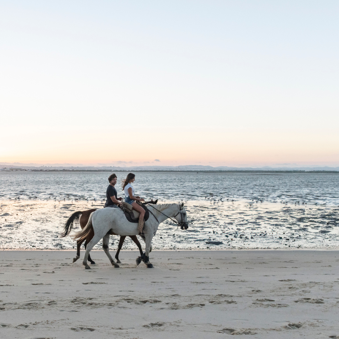 Gift Box • Horseback Riding FOR 2 PEOPLE &amp;amp; Picnic Basket