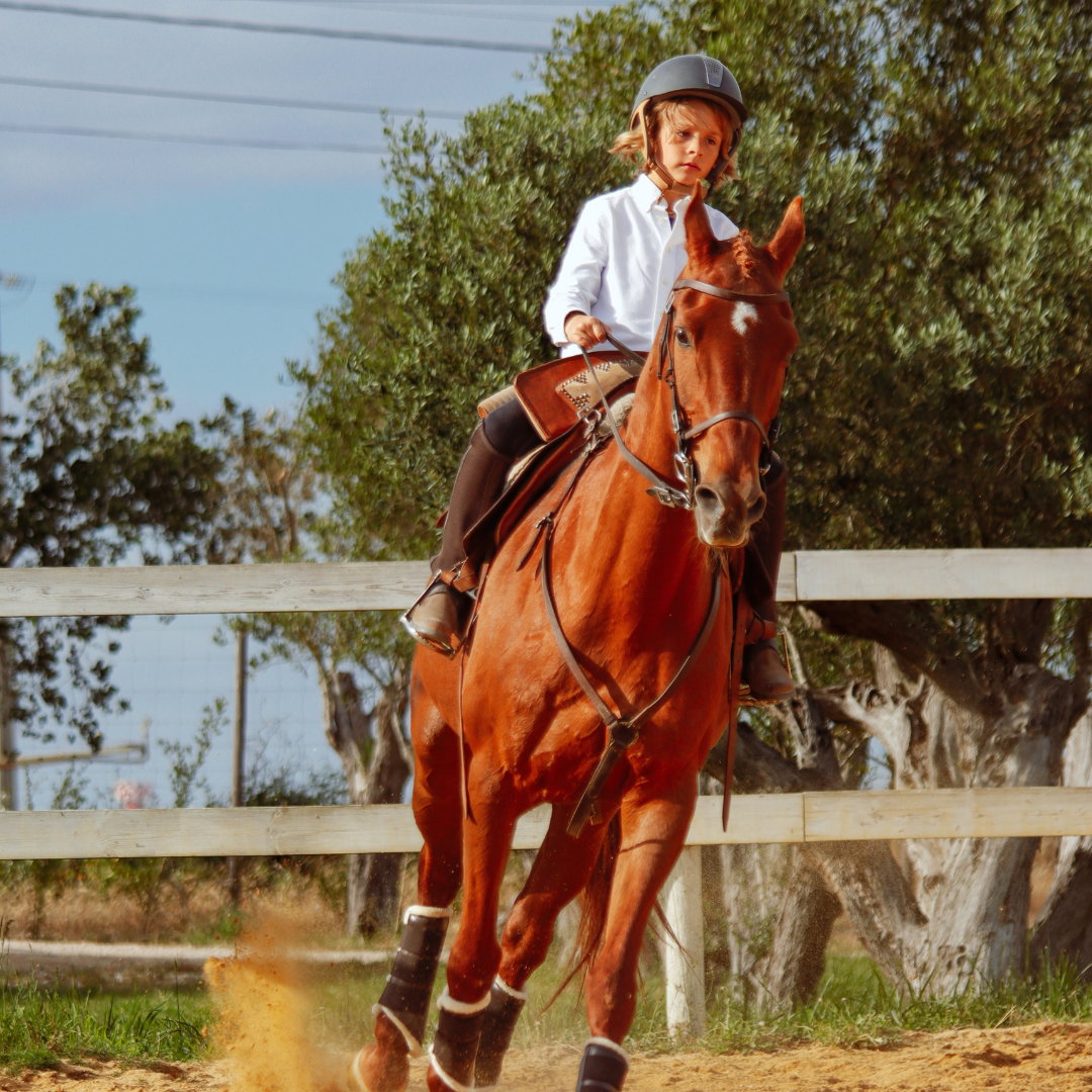 Batismo Equestre • 30 min • A partir dos 3 anos