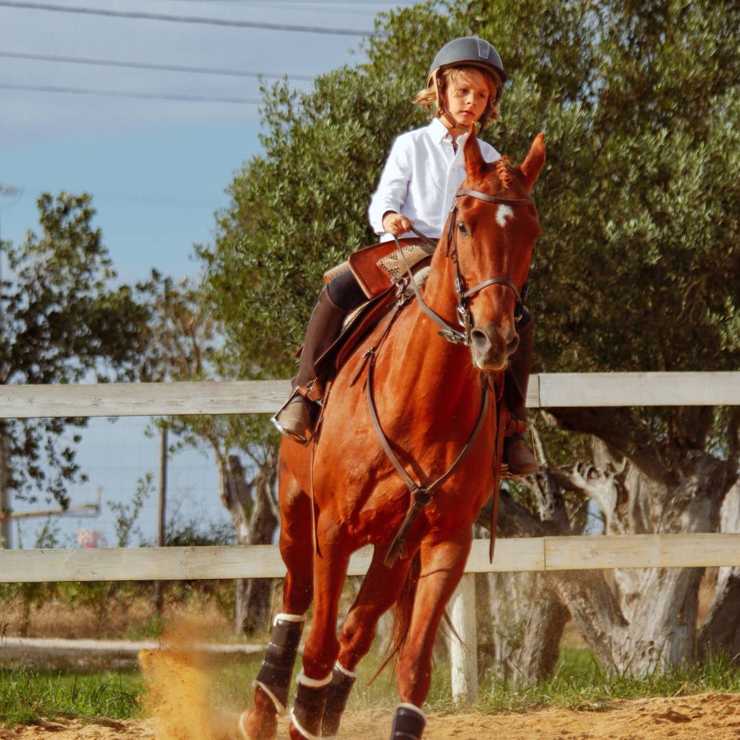 Voucher digital  • Batismo Equestre