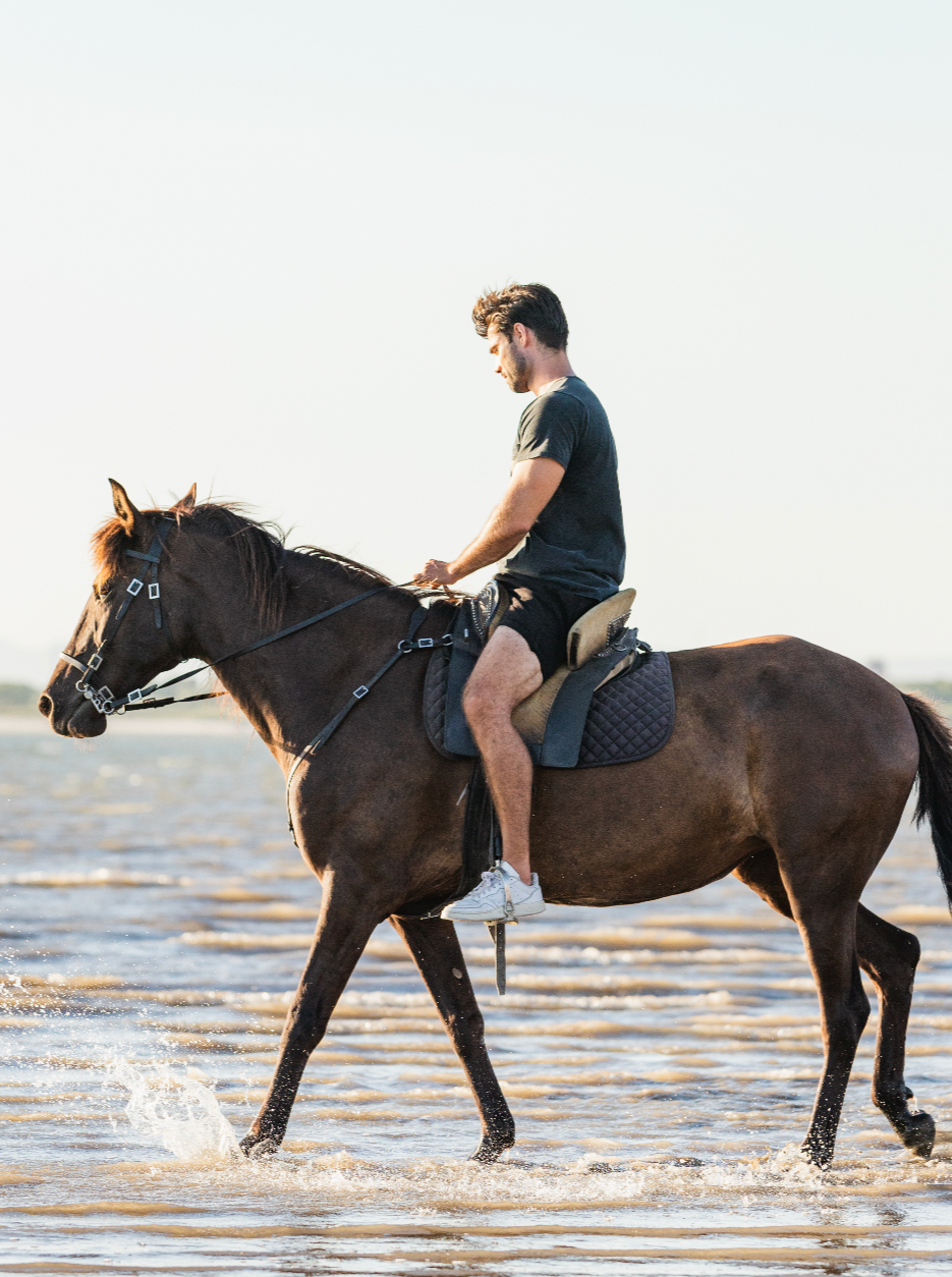 Digital voucher • Private horseback riding