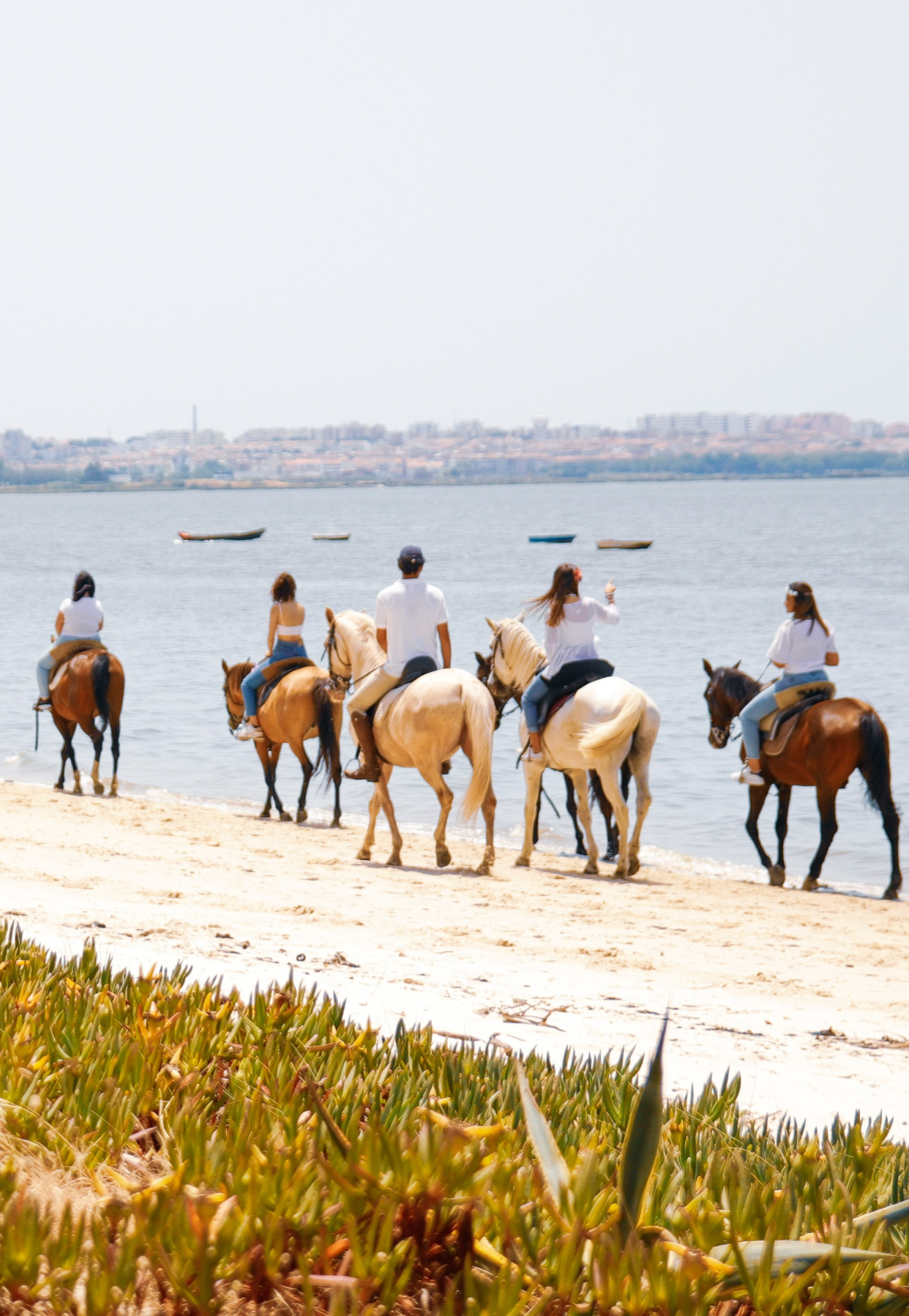 Horseback Riding on the Beach • 1h 30min • From 12 years old