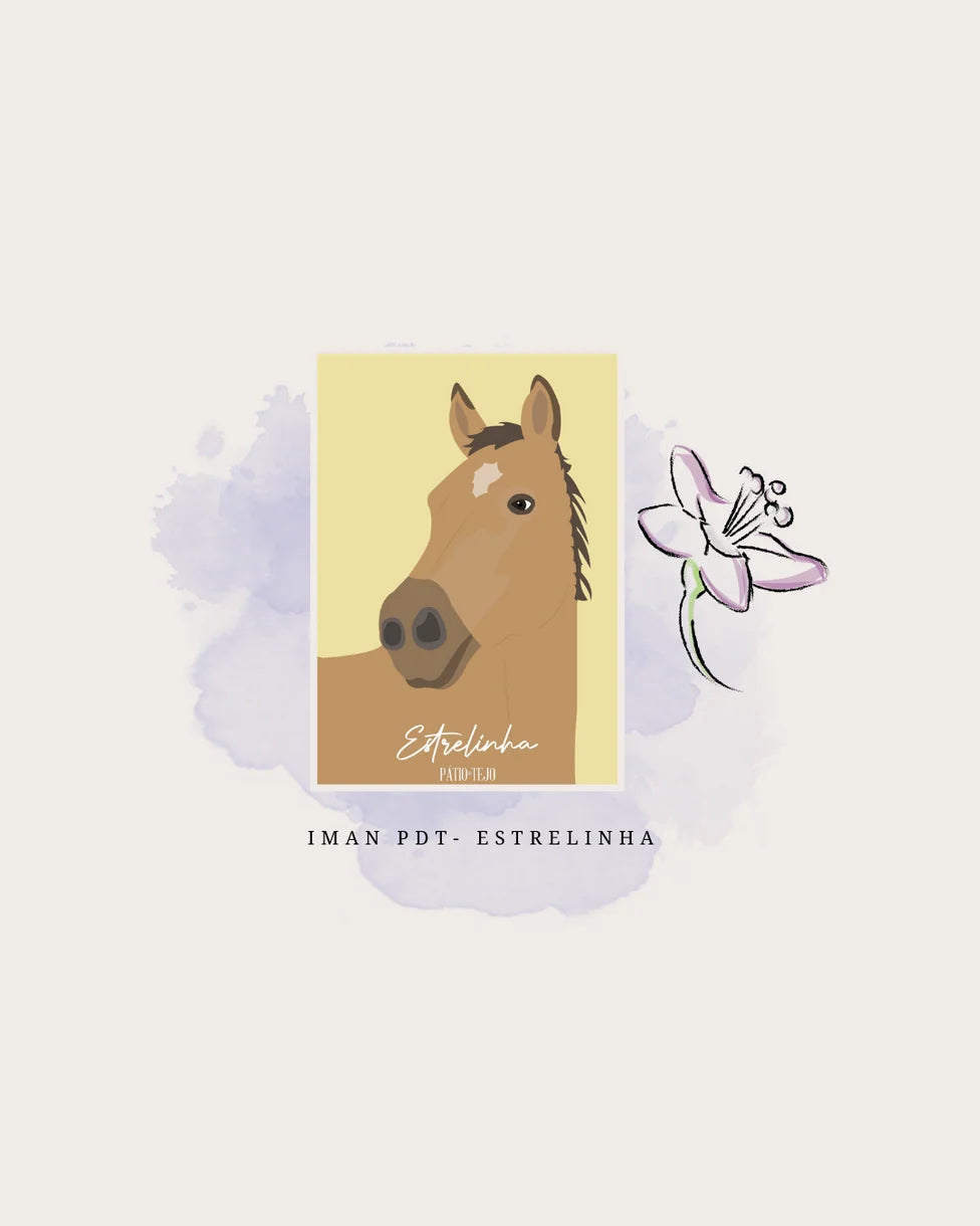 Ímanes Cavalos