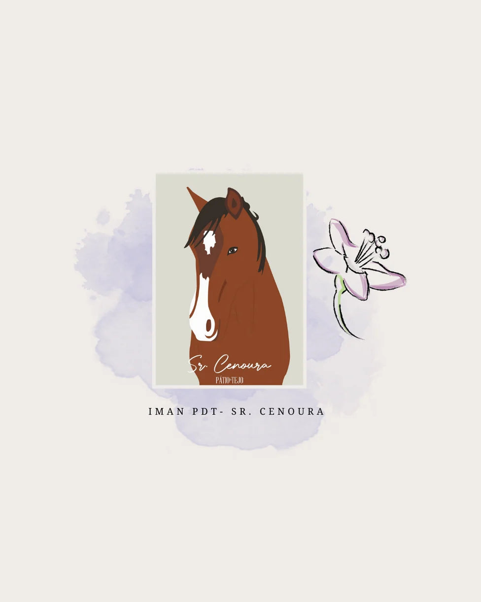 Ímanes Cavalos