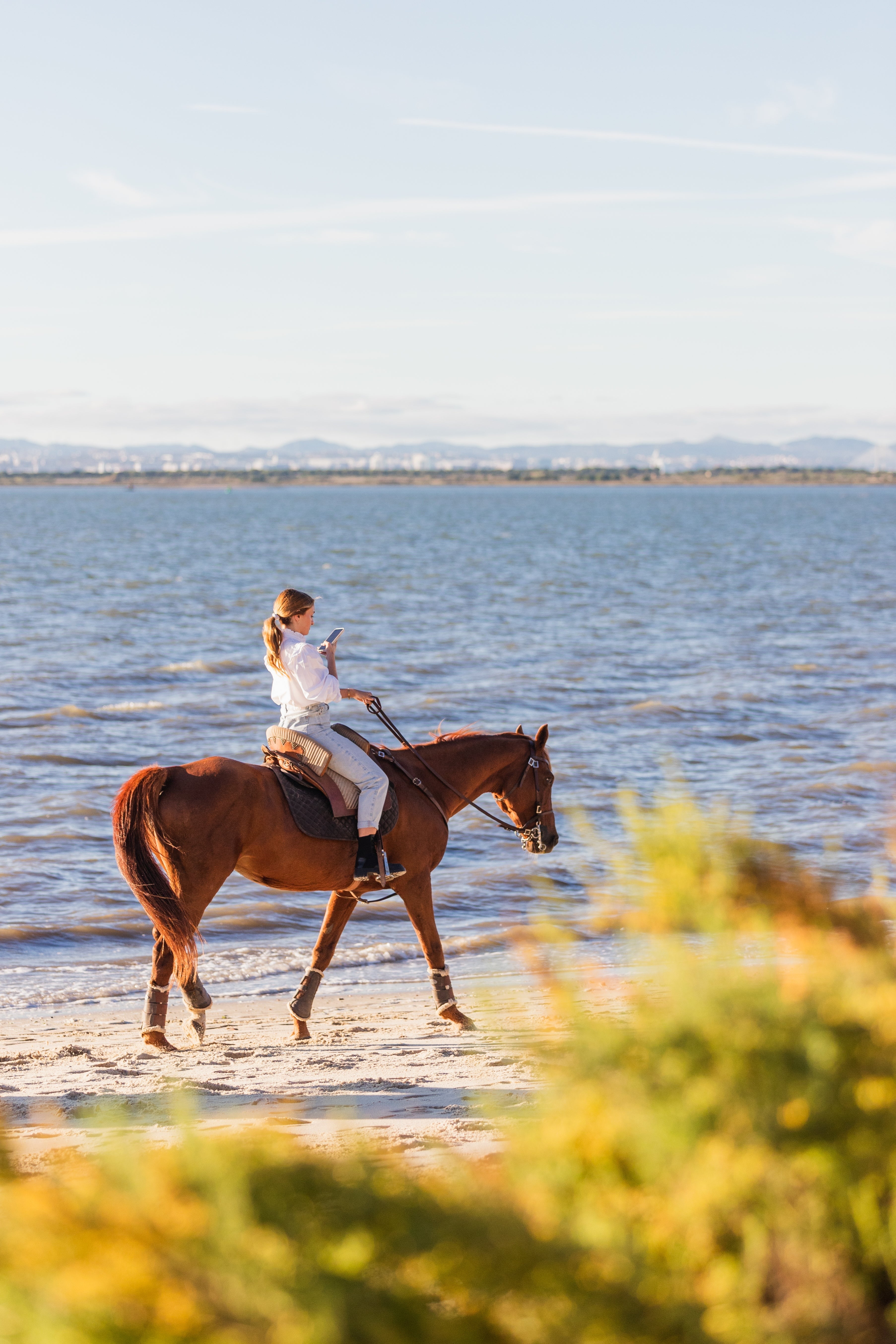 Passeio a Cavalo na Praia Privado • 1h 30min • A partir dos 12 anos