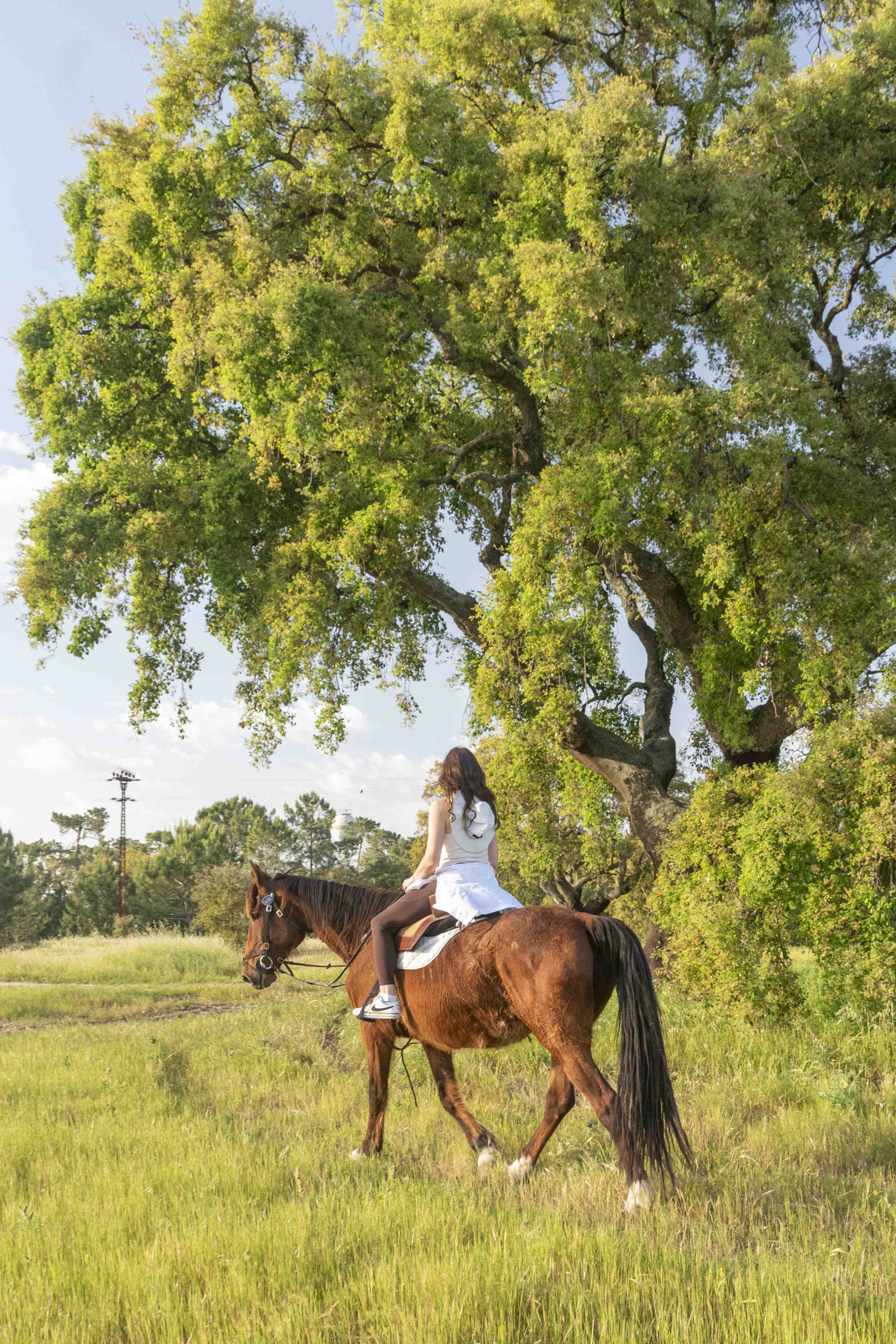 Horseback Riding on Pôr-Do-Sol Beach • 1h 30min • From 12 years old