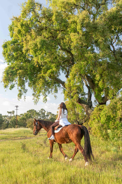 Horseback Riding on Pôr-Do-Sol Beach • 1h 30min • From 12 years old