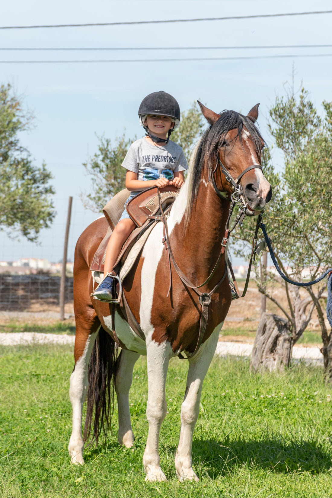 Digital Voucher • Equestrian Baptism