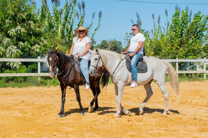 Cashier - Offer • FOR 2 PEOPLE • Tapas and Snacks &amp;amp; Brief Horseback Experience