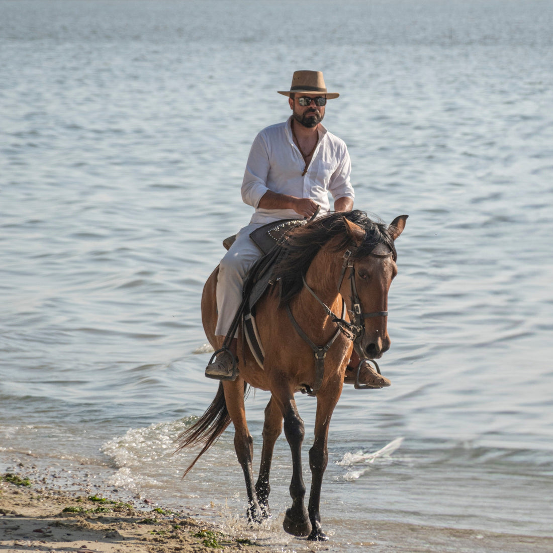 Private Horse Riding on the Beach - 1h 30min - From 12 years old