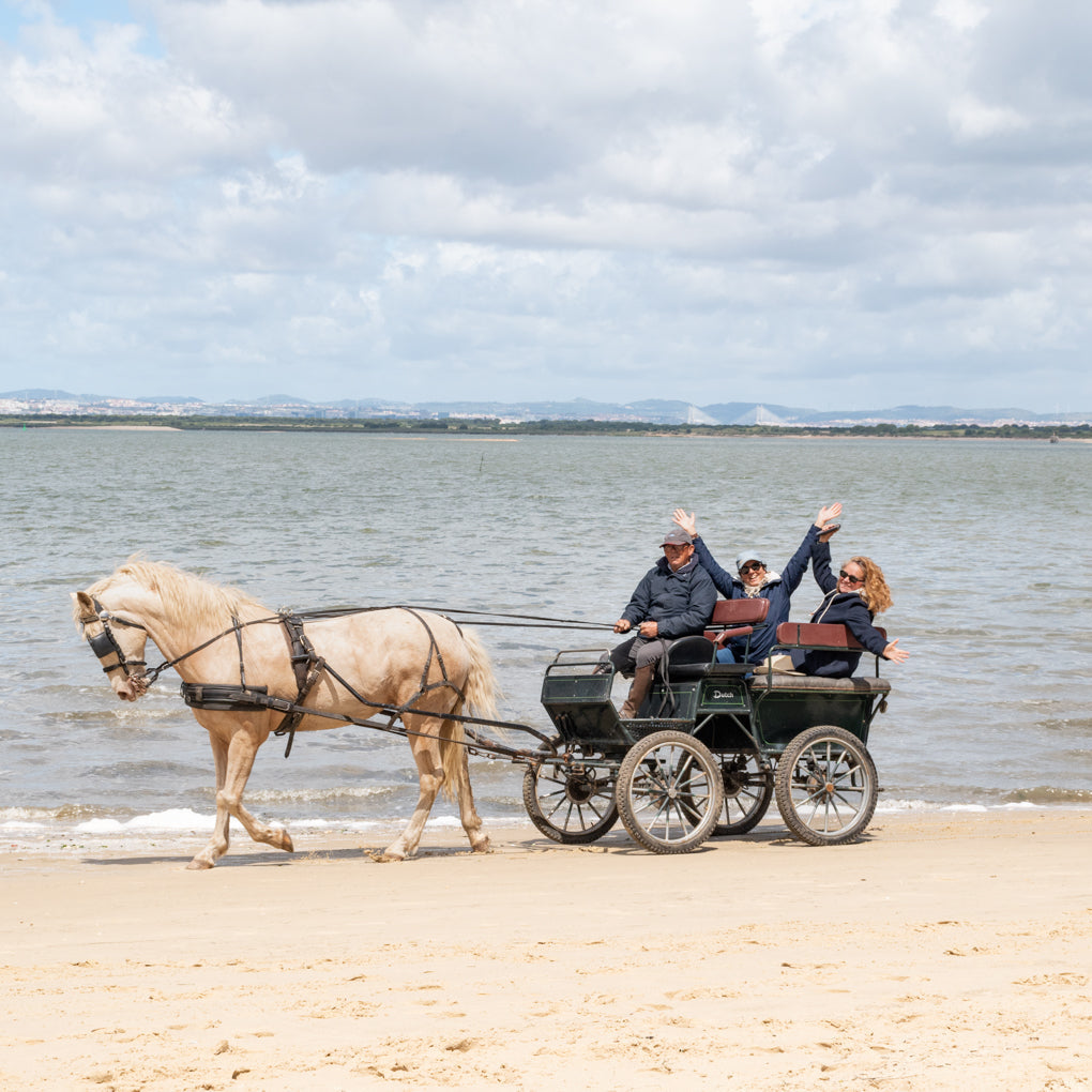 Digital voucher • Horse-drawn carriage ride for 2 people