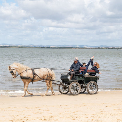 Digital voucher • Horse-drawn carriage ride for 2 people