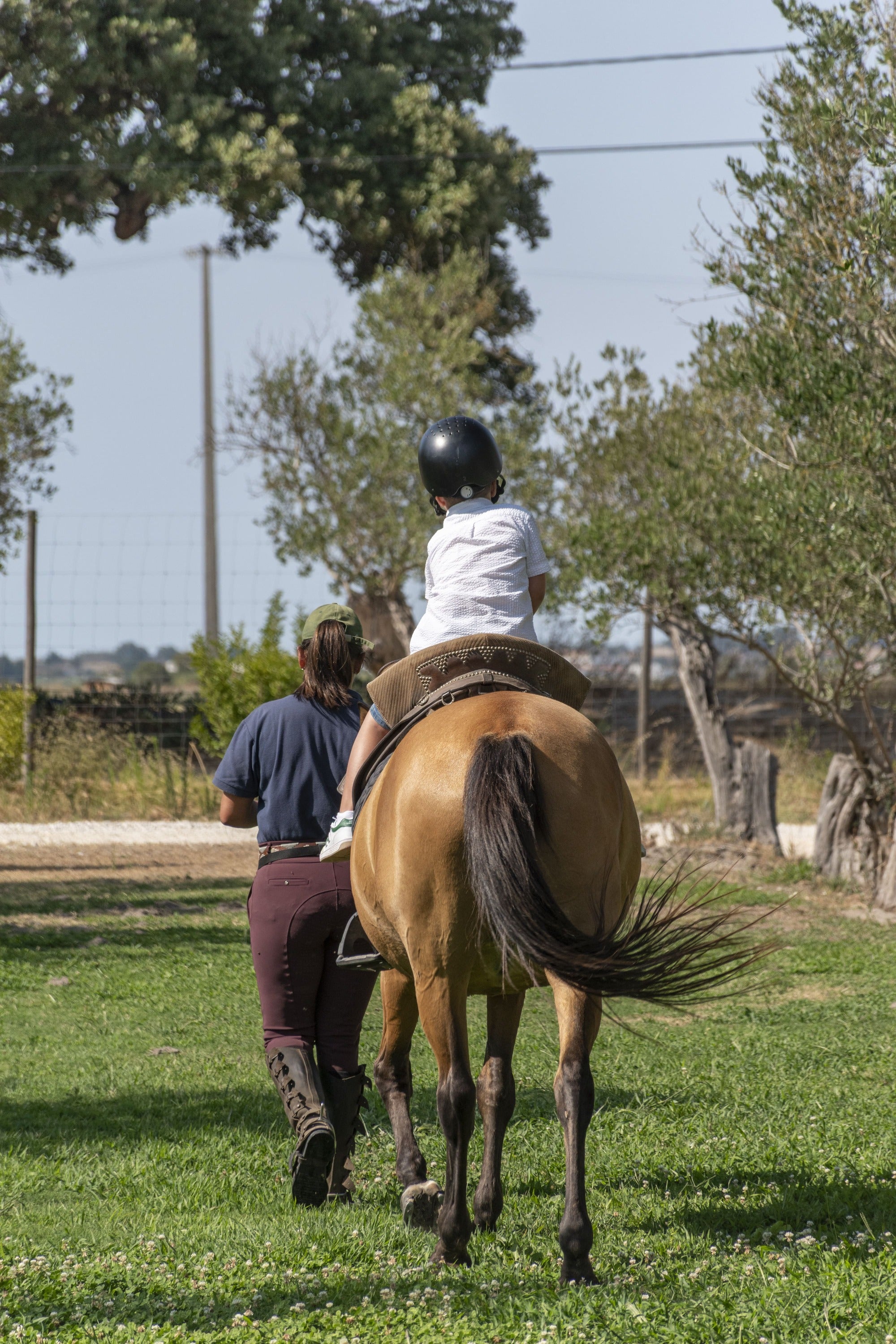 Voucher Físico • Batismo Equestre + Jogo Cavalo em Linha