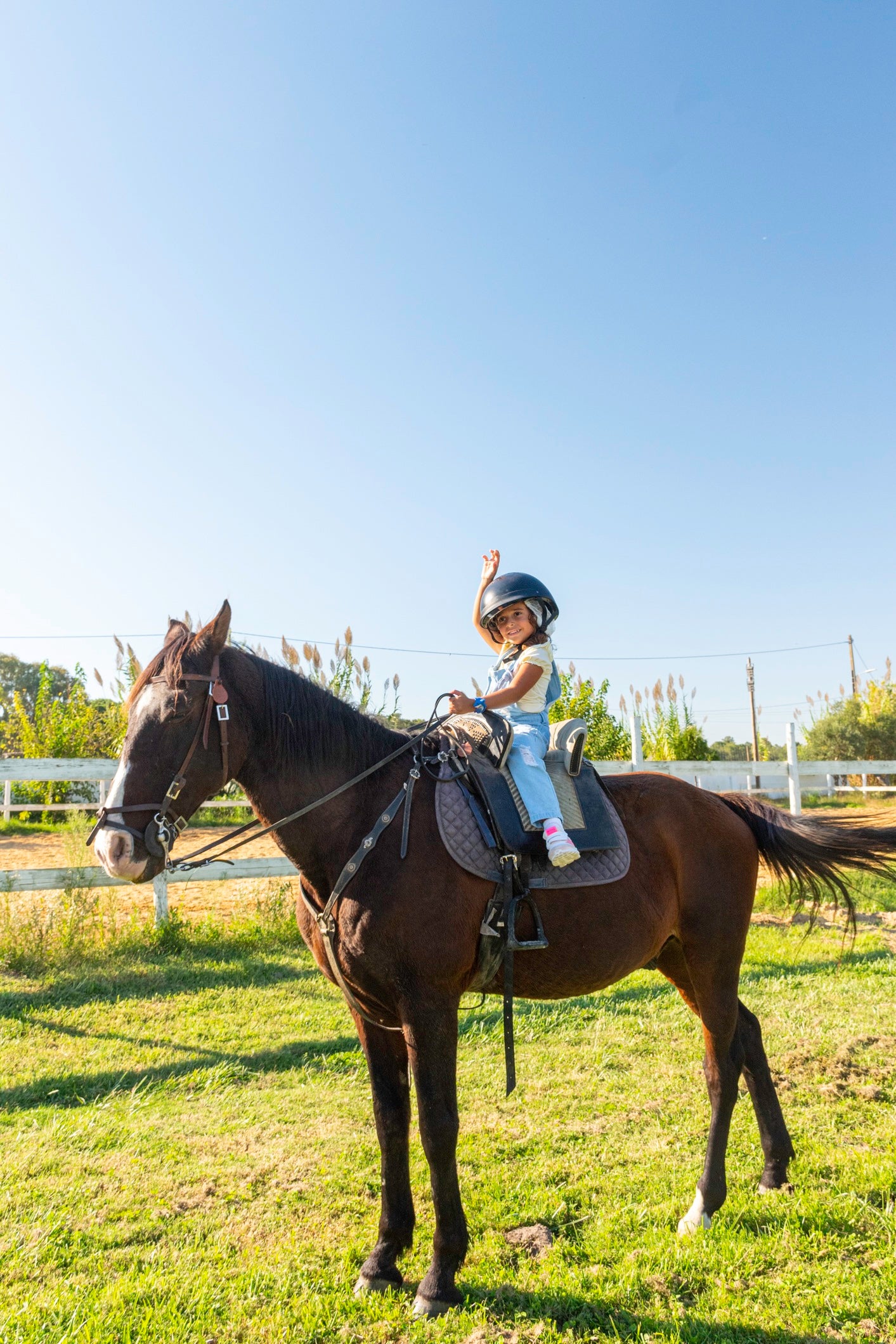 Equestrian Baptism • 30 min • From 3 years old