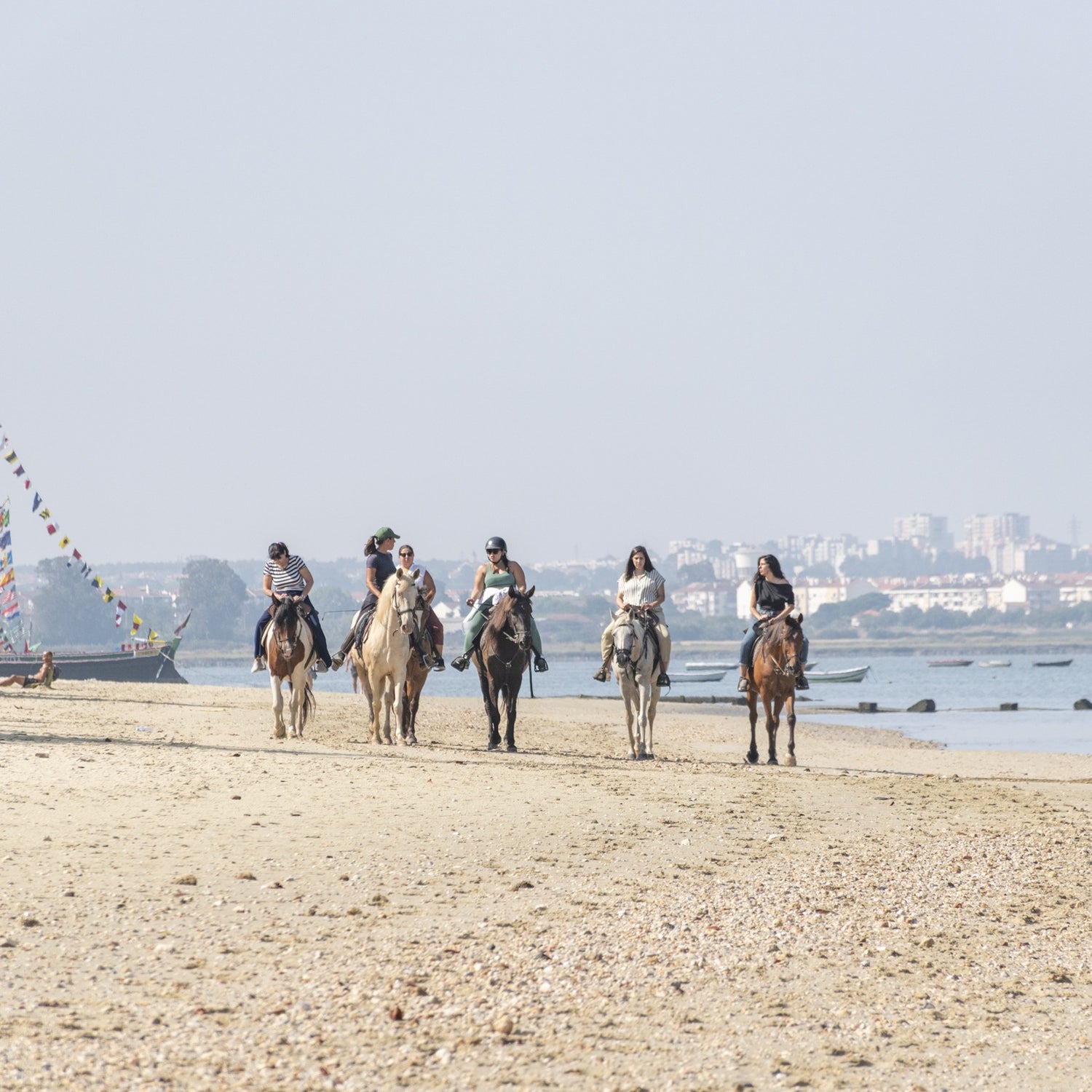 Bono digital • Equitación